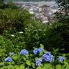 鎌倉試し撮り１