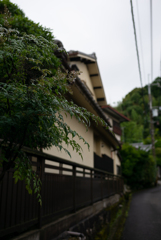 長閑な散歩道から５０（雨上がりの朝）