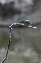 落とさないようにフルブルッ