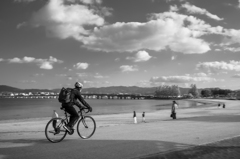 長閑な渚の一コマ