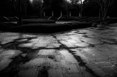 雨上がり（いつもの公園から）