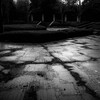 雨上がり（いつもの公園から）