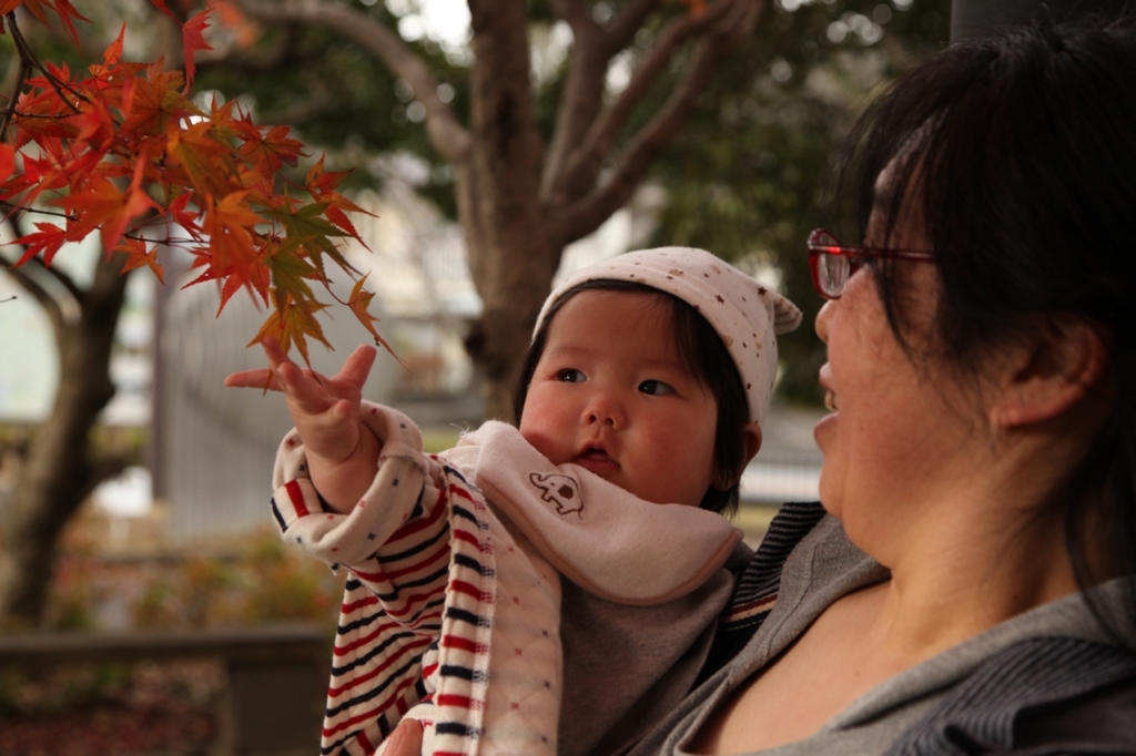 はじめての紅葉