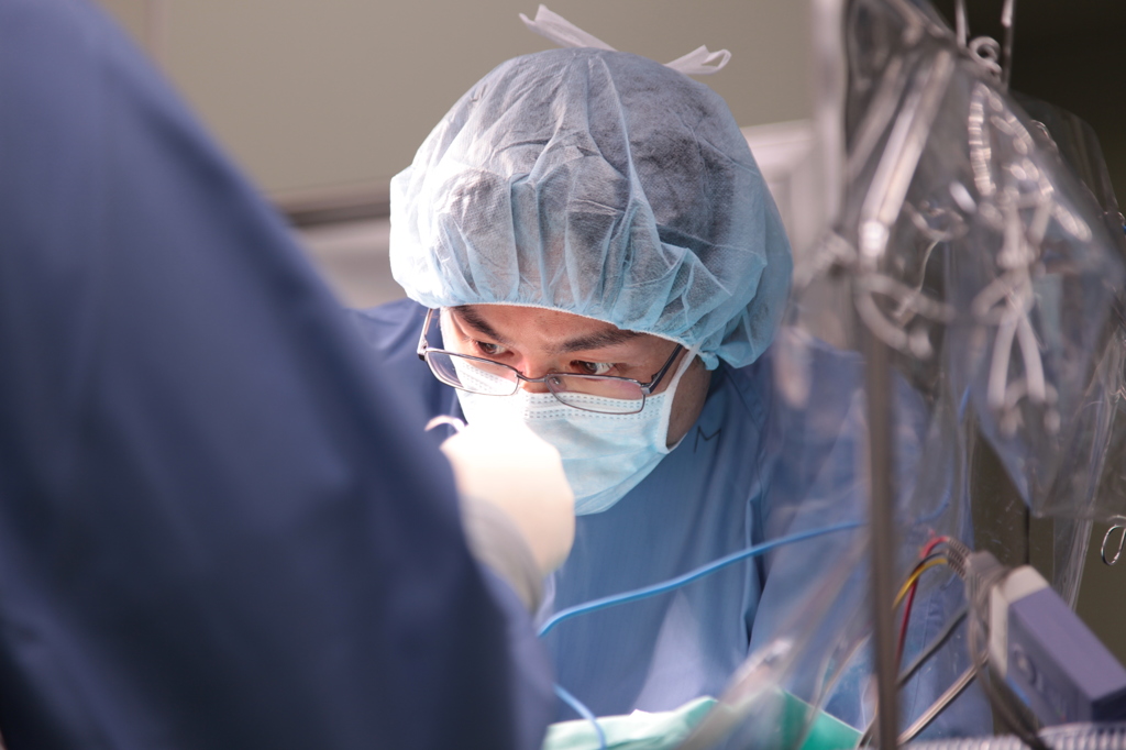Animal hospital - OP
