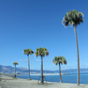 冬の田ノ浦ビーチ