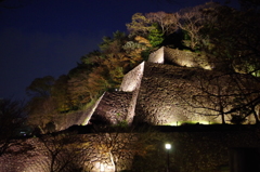 城跡