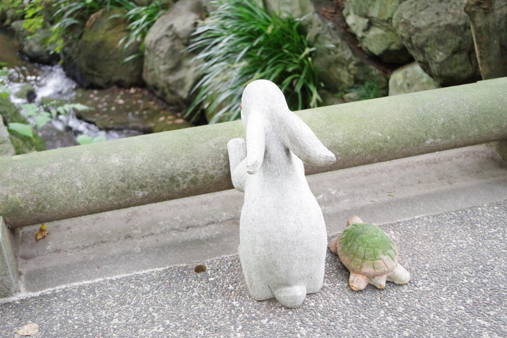 うさぎとかめⅡ