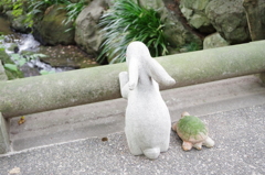 うさぎとかめⅡ