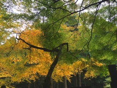 永平寺