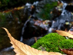 永平寺