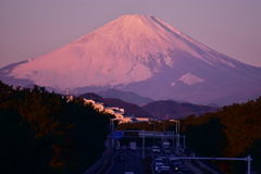 朝富士