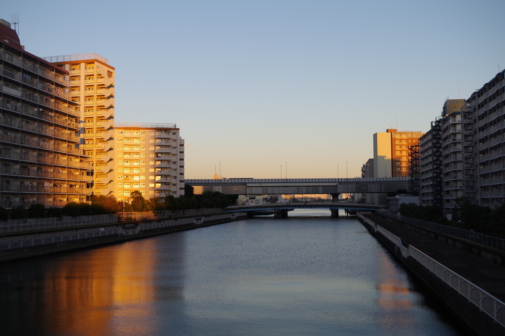晴海線跡③