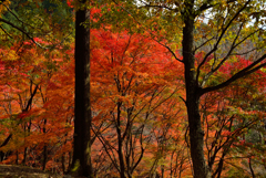 最上山公園1
