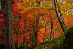 最上山公園2