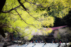 春光に包まれて。。