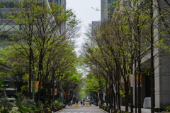 Nakamachi　St.