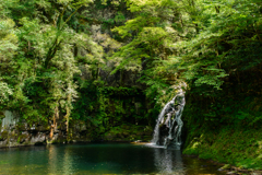 滝。深き緑と碧の淵にて