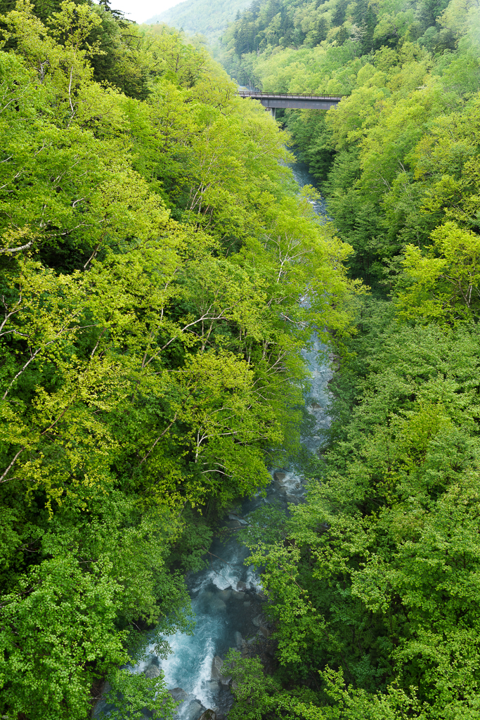 river runs through