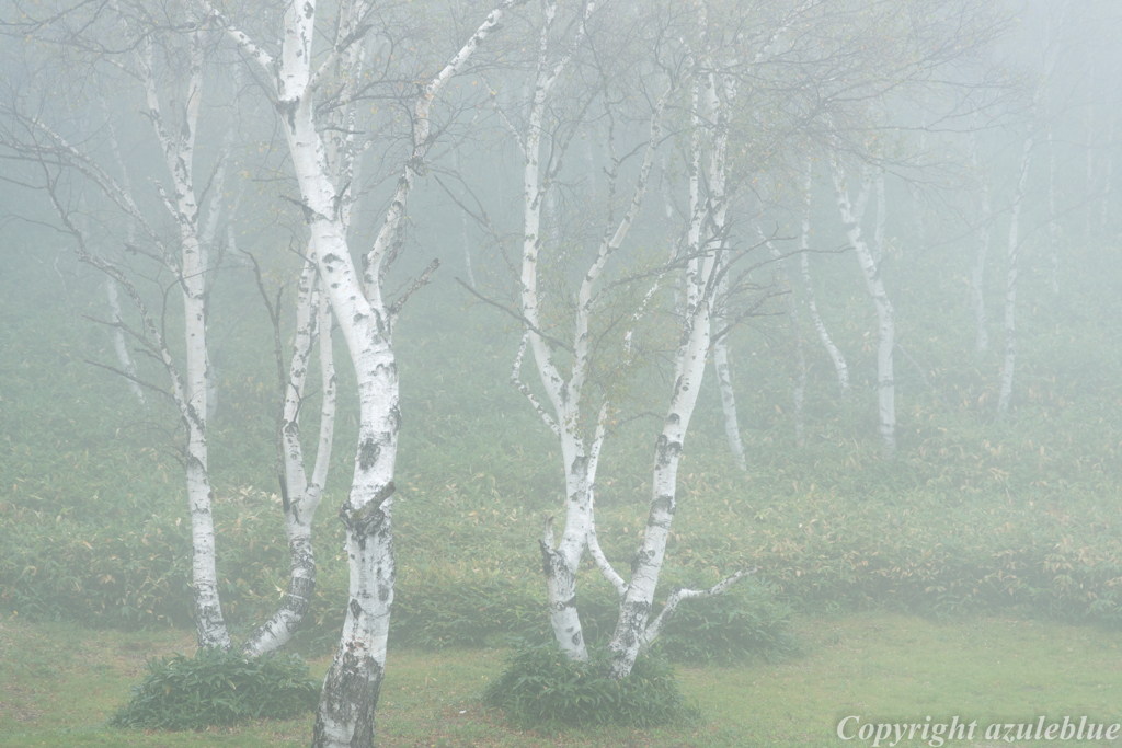 misty..