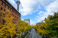 山下公園通り