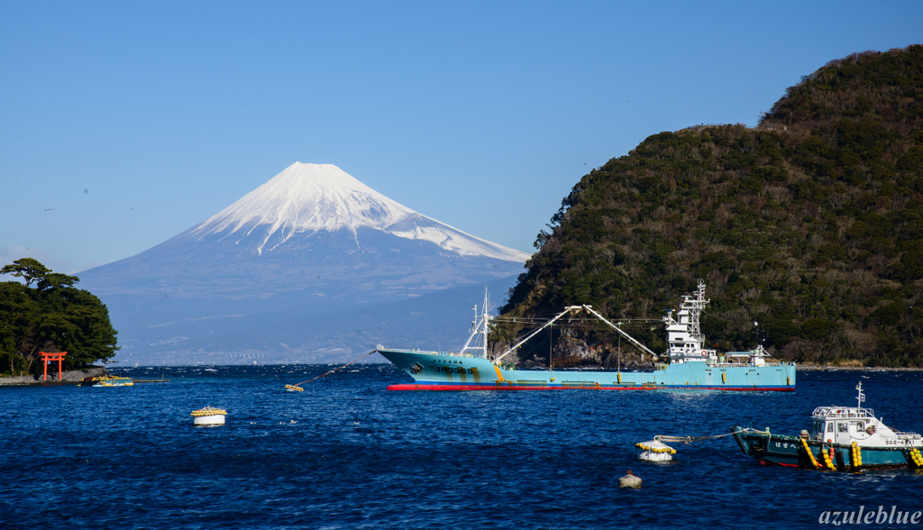 富士山が見えました！