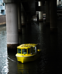 tokyo water taxi