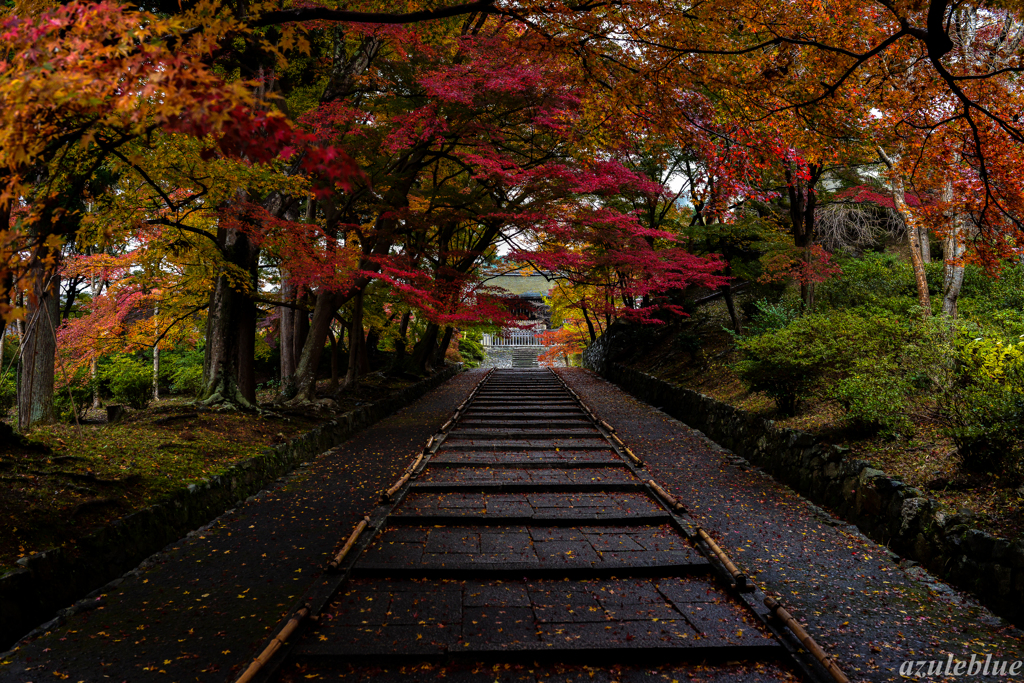 紅葉の毘沙門堂