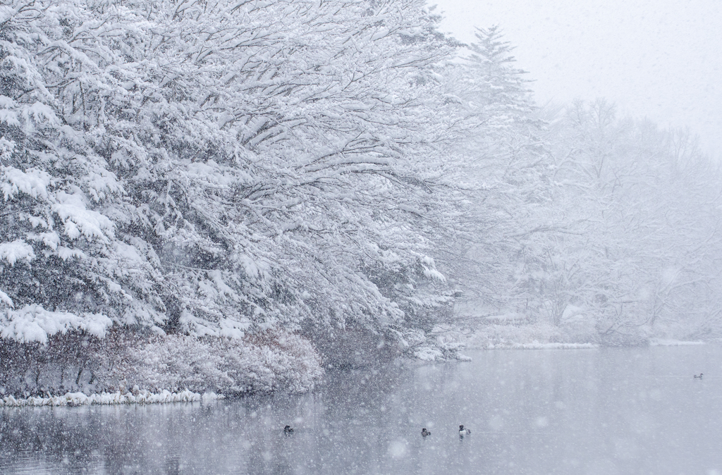 memories of Karuizawa 1