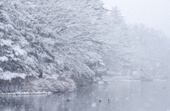 memories of Karuizawa 1