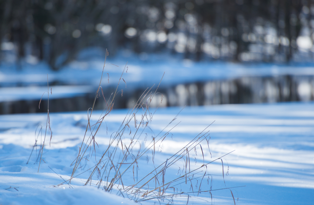 sign of spring