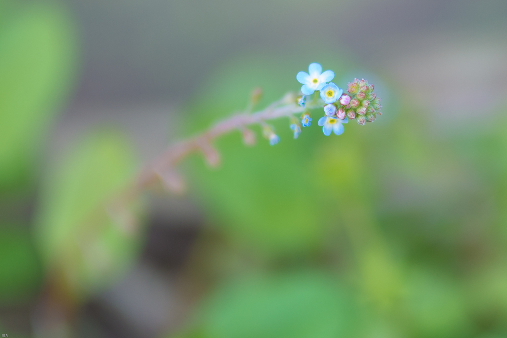 Hello 　(^^)