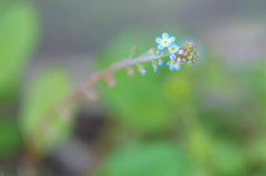 Hello 　(^^)