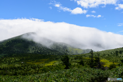 八甲田山