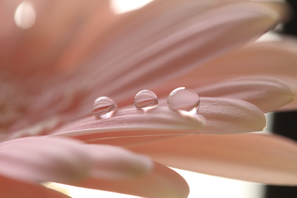 雫