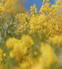 56A431D8-09A3-446C-AB0D-2BD8CFA8E6F9