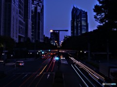 Metropolis ver.2