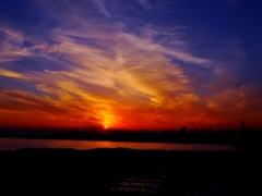 夕日