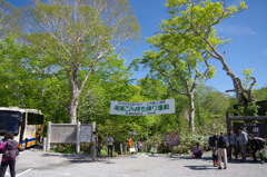 尾瀬ヶ原
