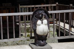 狸