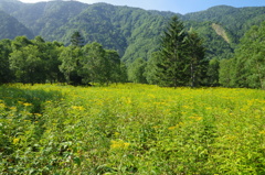日光白根山