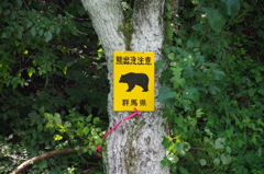 出没注意