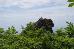 佇む獅子