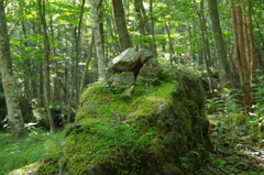 日光白根山