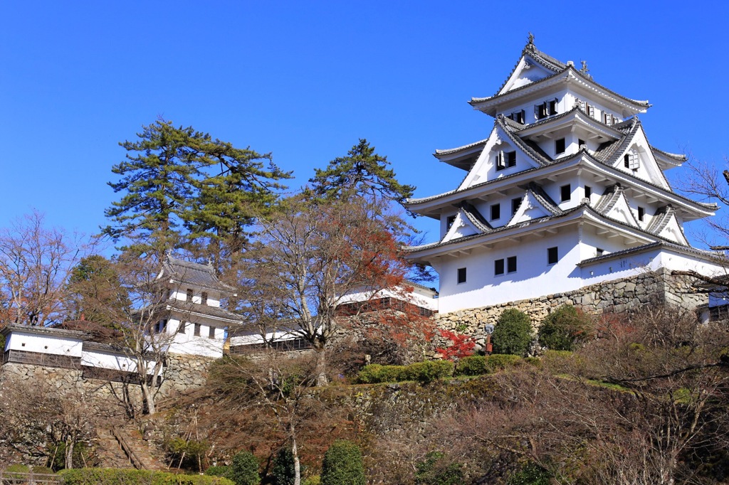 郡上八幡CASTLE‼︎‼︎