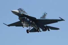 F-2A その３ / New Face ... ?