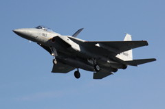 F-15J