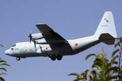 C-130H　その１
