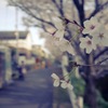 花道