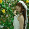 「サルビアの花」　　Ⅵ
