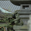 点景・　神社、梅雨曇り